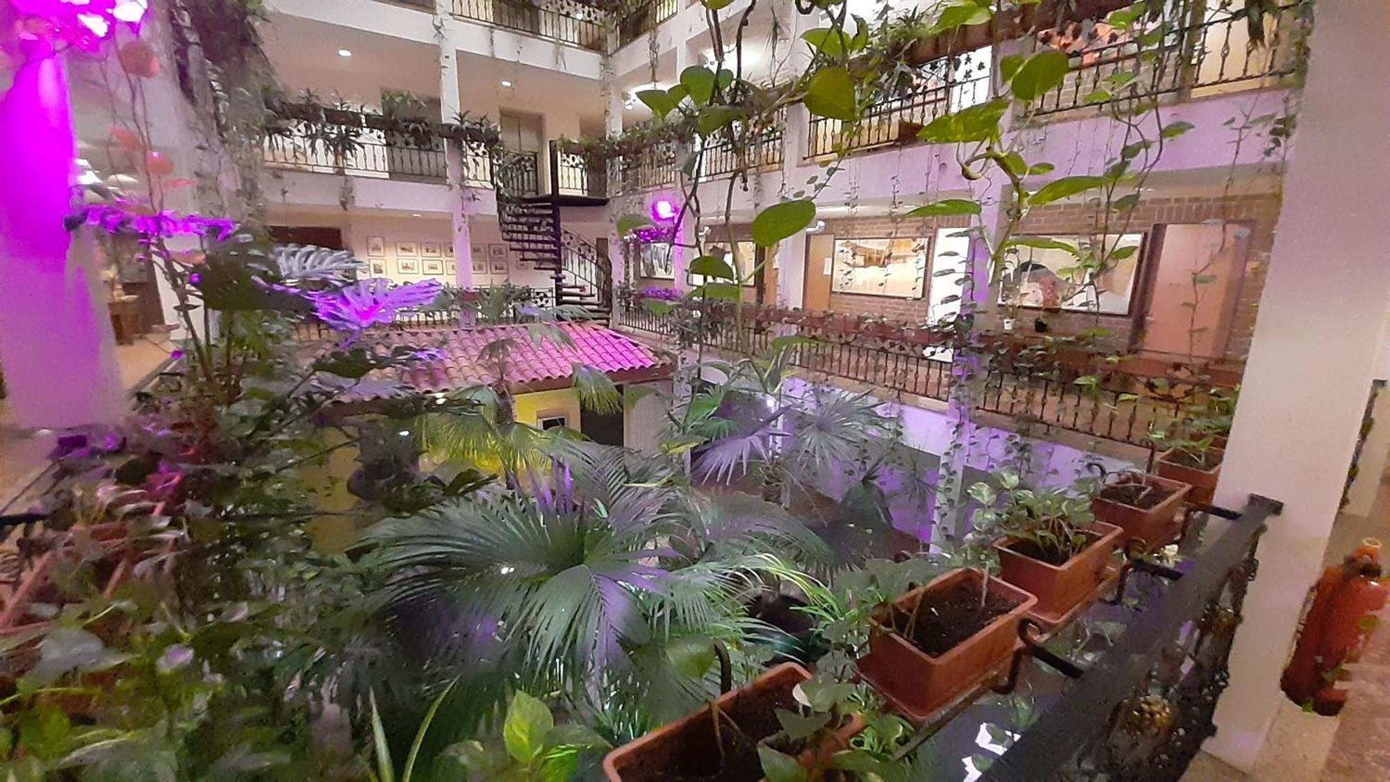 Solitaire Hotel — Photos 3