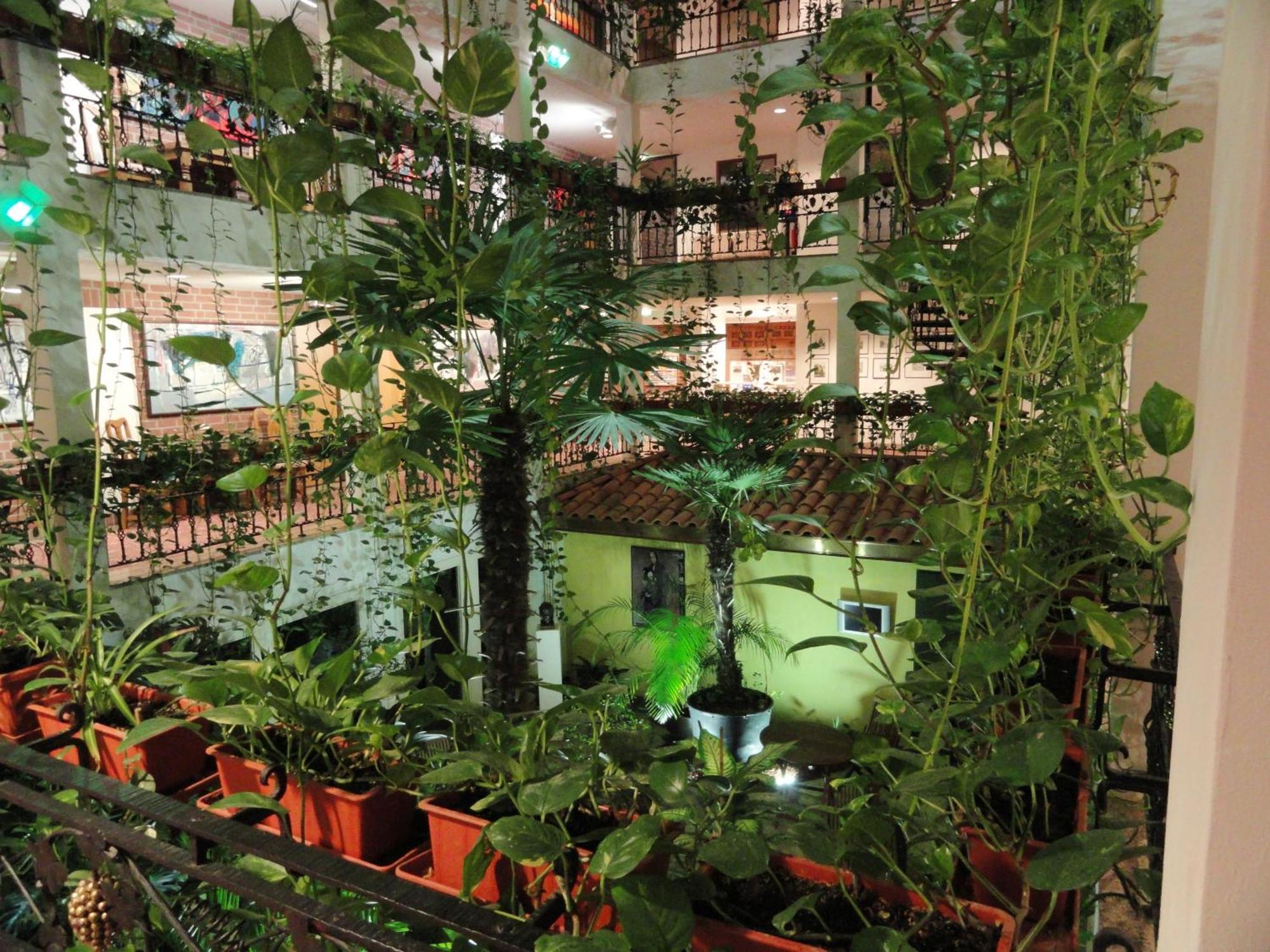 Solitaire Hotel — Photos 1